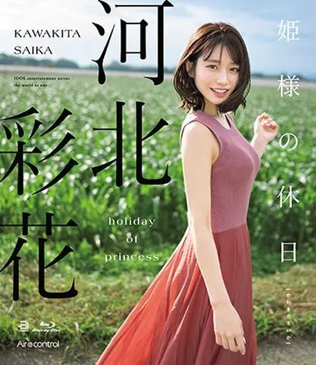 河北彩花公主的假日