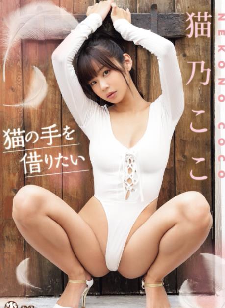 猫の手を借りたい猫乃ここ[OME558]
