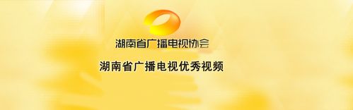 湖南省广播电视优秀视频2013