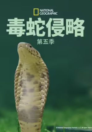 毒蛇侵略第五季