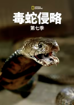 毒蛇侵略第七季