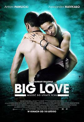 大爱/BigLove