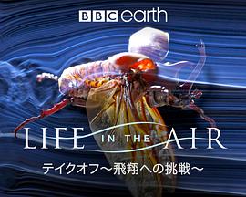 空中生灵