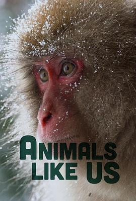 AnimalsLike