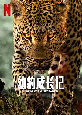 豹崽同行
