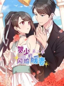 贺少的闪婚暖妻第三季·动态漫画