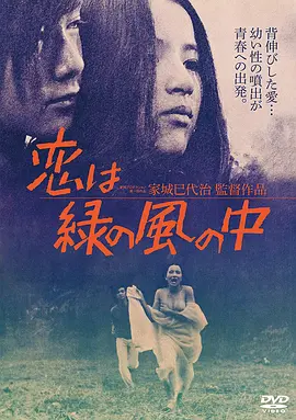 绿风中的爱恋