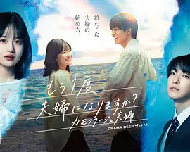 要再做一次夫妇吗～伪装夫妇～