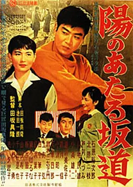 向阳的坡路