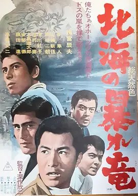 北海暴龙