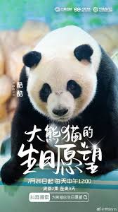 大熊猫的生日愿望