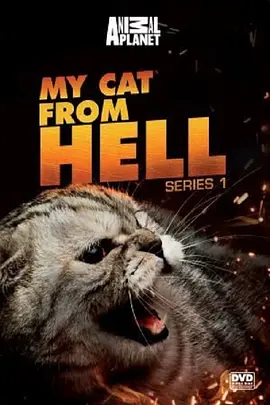 家有恶猫第一季